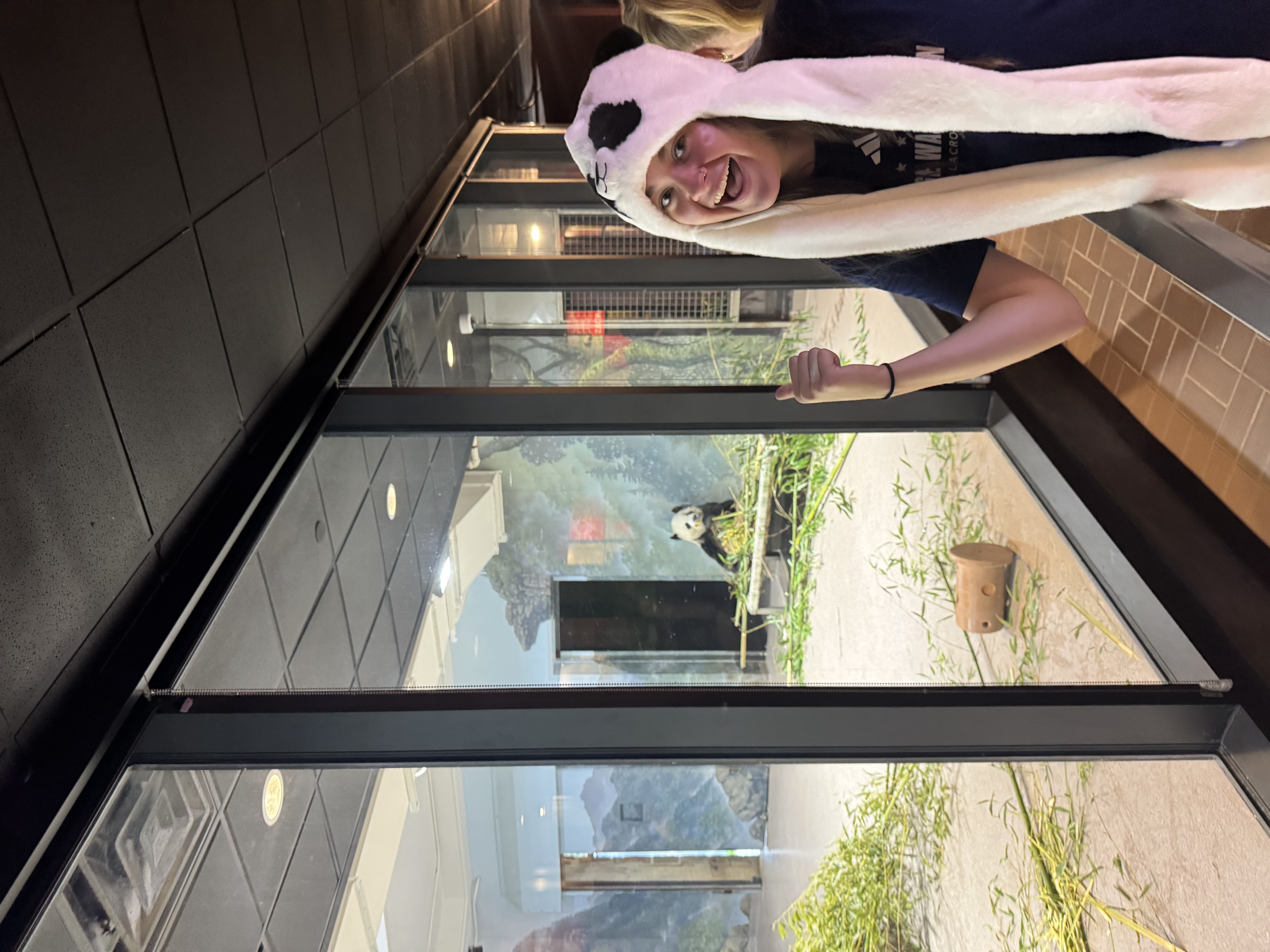 Teammate in panda hat at the panda exhibit