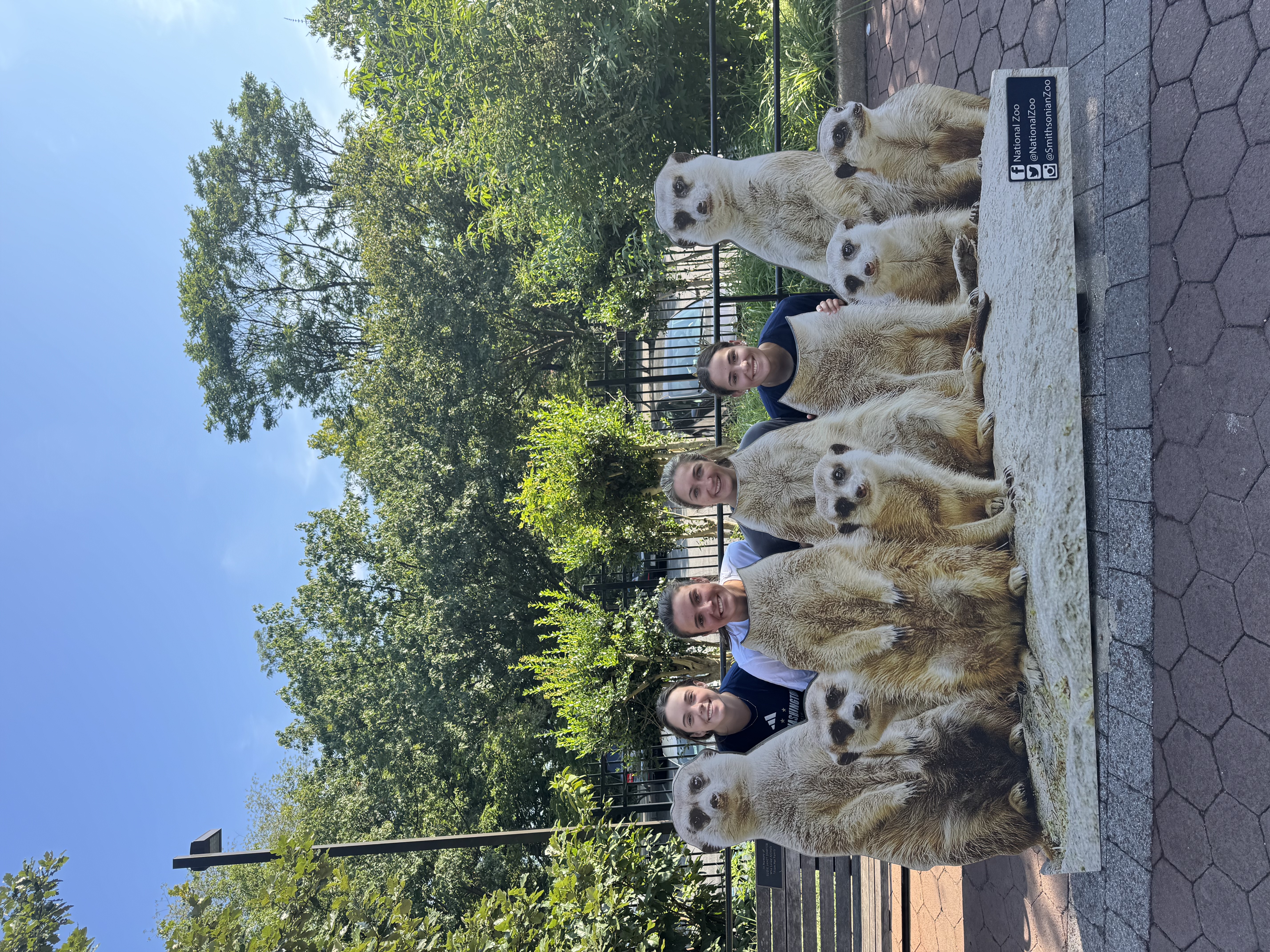 Teammates posing with meerkat cutouts