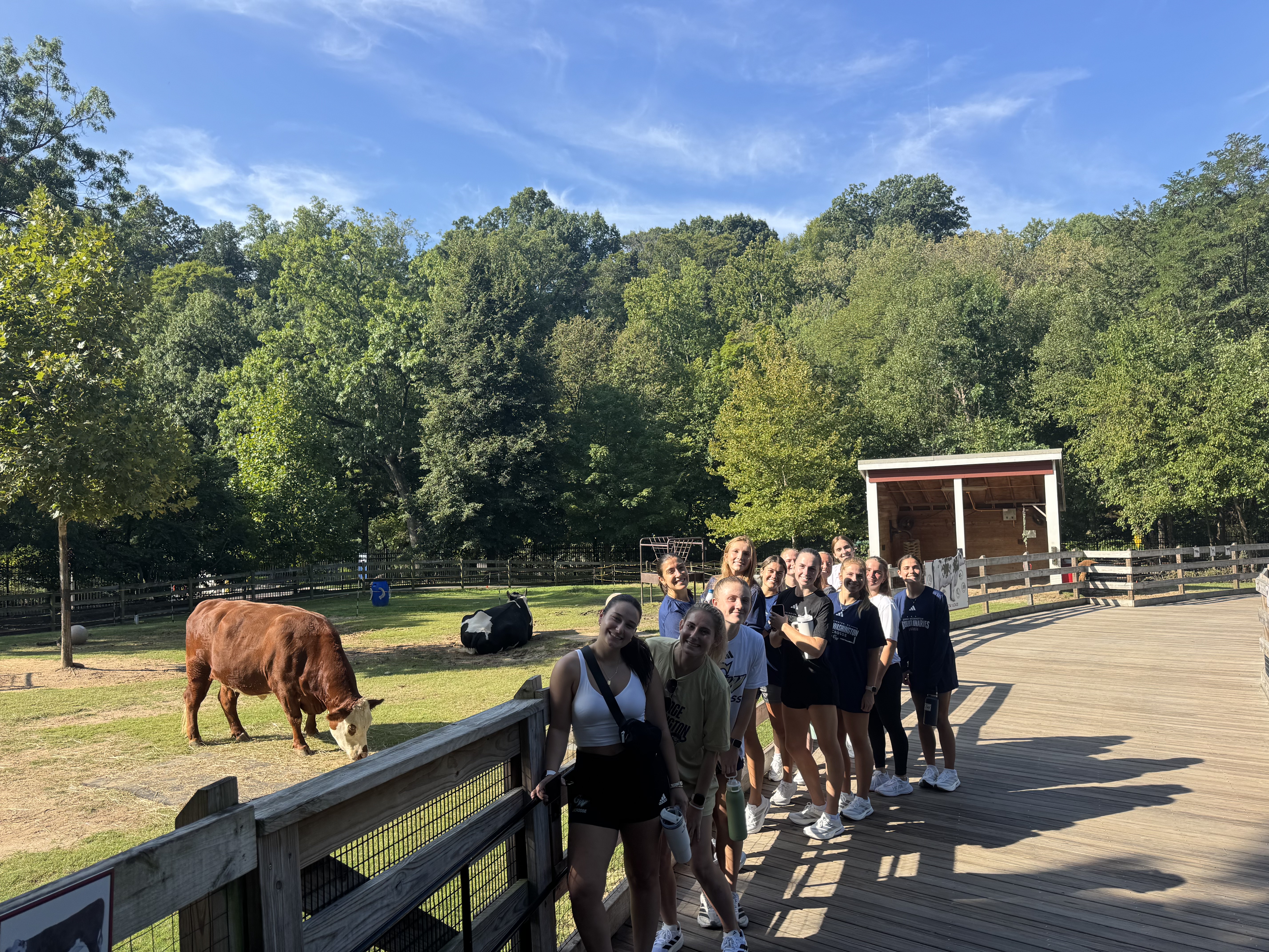 Team at the farm exhibit with cattle