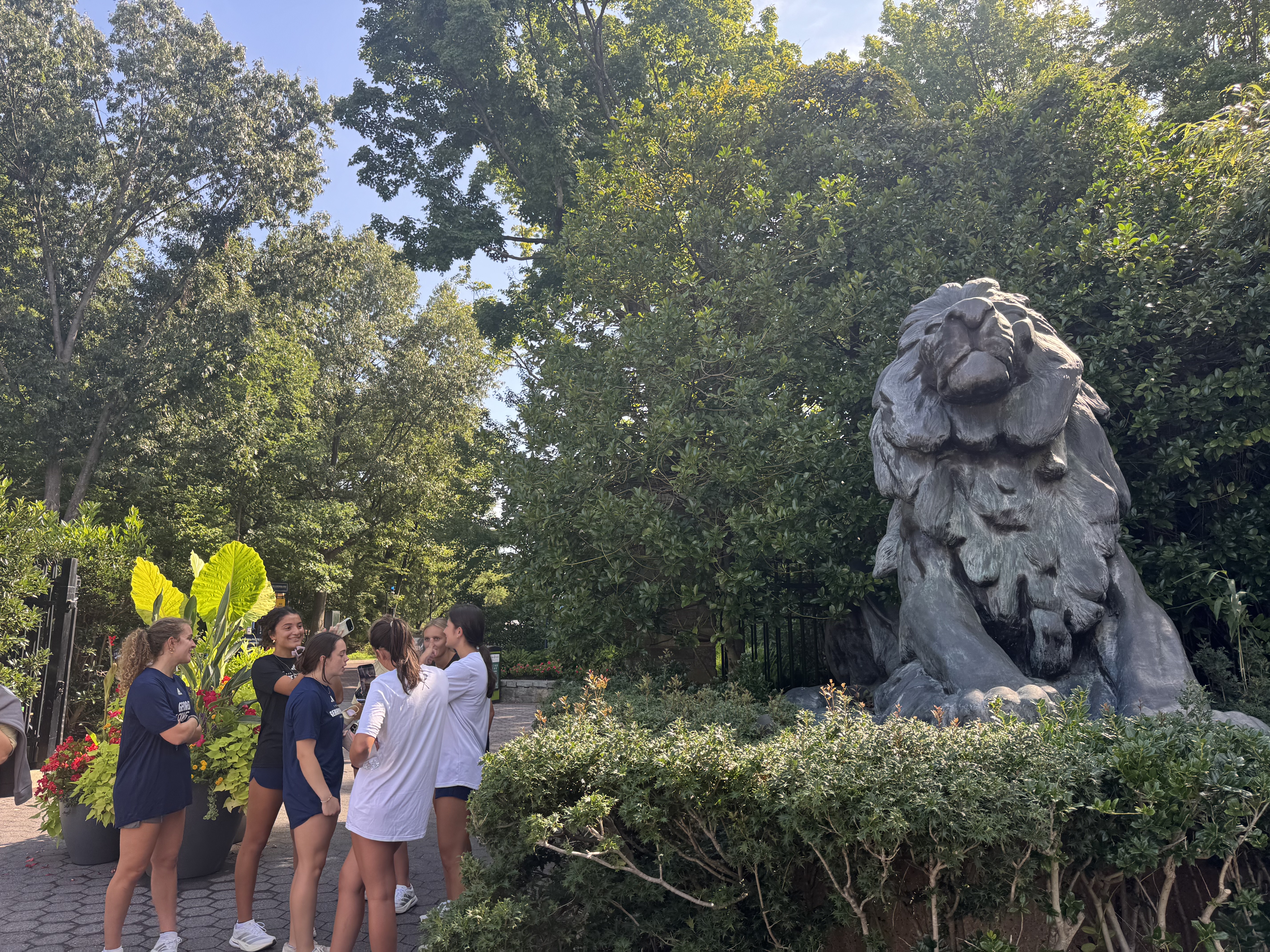 Teammates at the lion statue