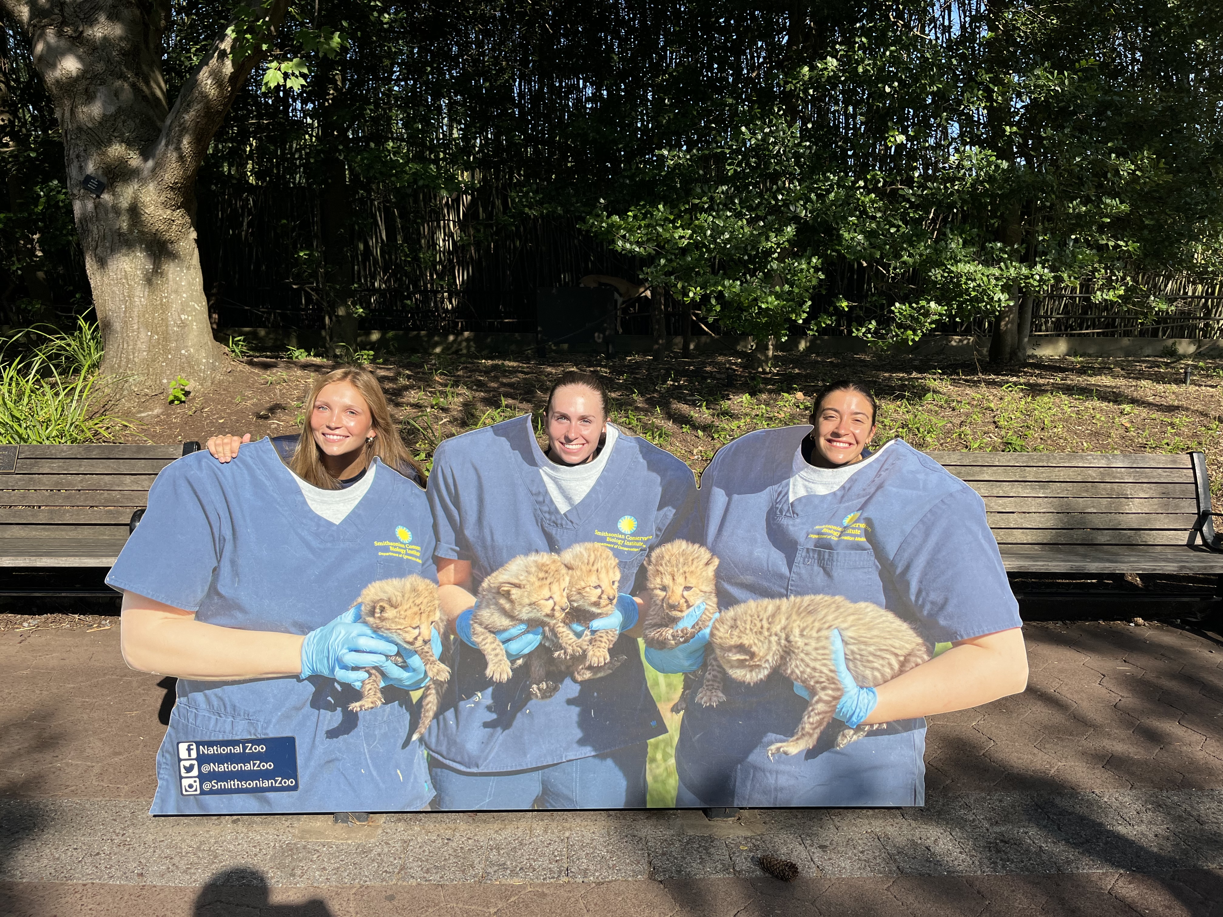 Teammates posing with cheetah cub cutout